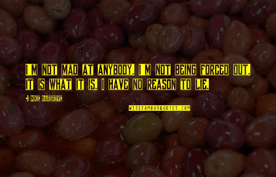 No Reason To Lie Quotes By Mike Hargrove: I'm not mad at anybody. I'm not being