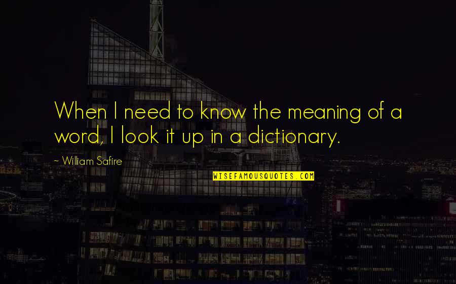 No Reason To Stay Is A Good Reason To Go Quotes By William Safire: When I need to know the meaning of