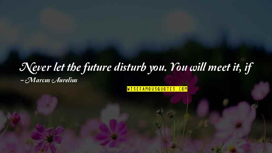 No Reason To Worry Quotes By Marcus Aurelius: Never let the future disturb you. You will