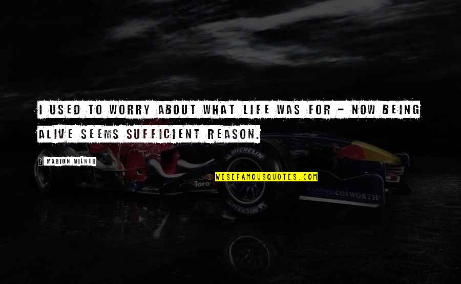 No Reason To Worry Quotes By Marion Milner: I used to worry about what life was