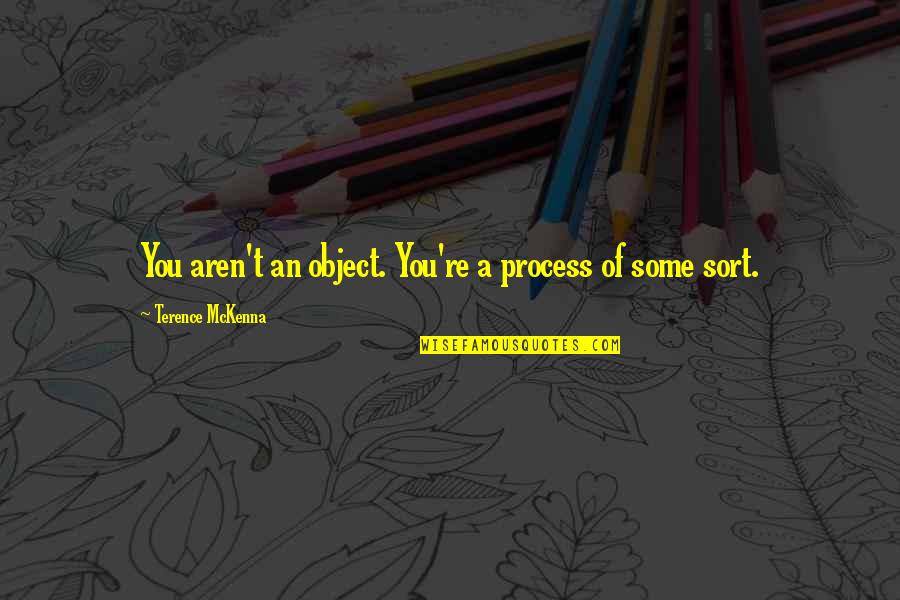 No Reply Back Quotes By Terence McKenna: You aren't an object. You're a process of