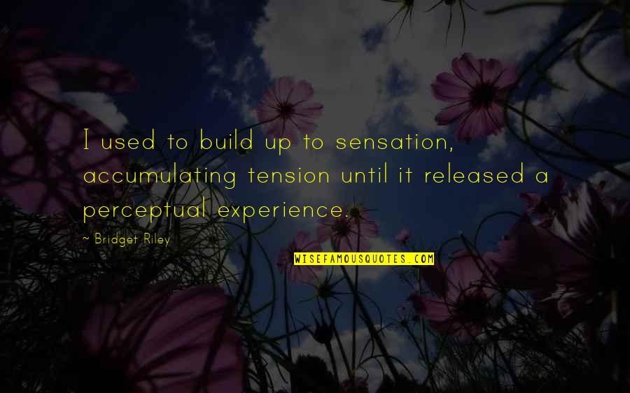 No Respect For True Love Quotes By Bridget Riley: I used to build up to sensation, accumulating