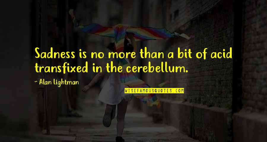 No Sadness Quotes By Alan Lightman: Sadness is no more than a bit of