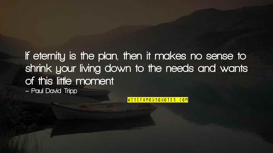 No Sense Quotes By Paul David Tripp: If eternity is the plan, then it makes