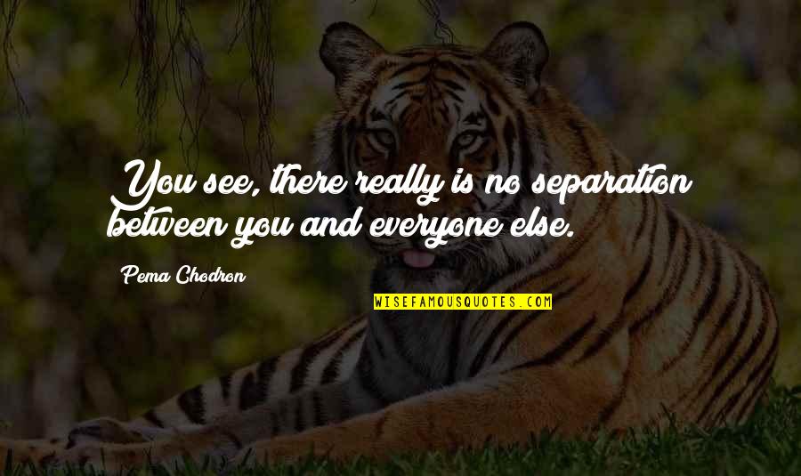 No Separation Quotes By Pema Chodron: You see, there really is no separation between