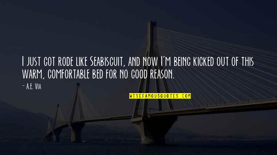No Sex Quotes By A.E. Via: I just got rode like Seabiscuit, and now
