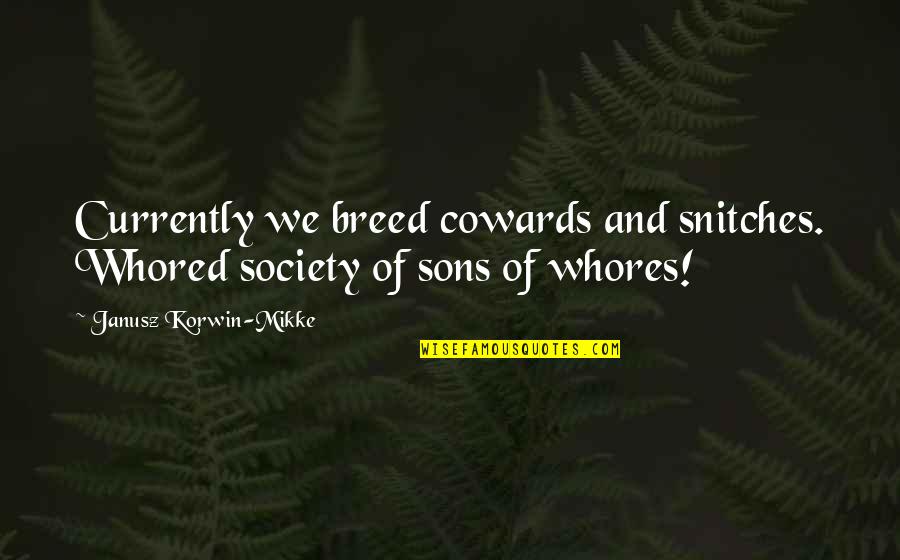 No Snitches Quotes By Janusz Korwin-Mikke: Currently we breed cowards and snitches. Whored society