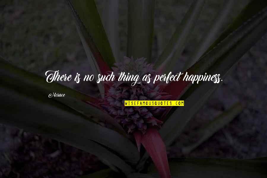 No Such Thing As Happiness Quotes By Horace: There is no such thing as perfect happiness.