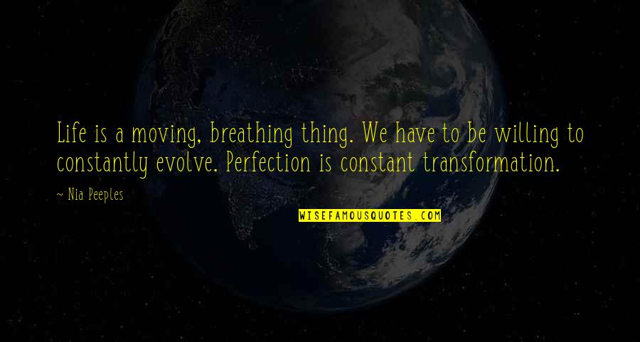 No Such Thing As Perfection Quotes By Nia Peeples: Life is a moving, breathing thing. We have