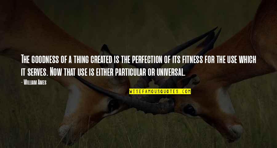 No Such Thing As Perfection Quotes By William Ames: The goodness of a thing created is the