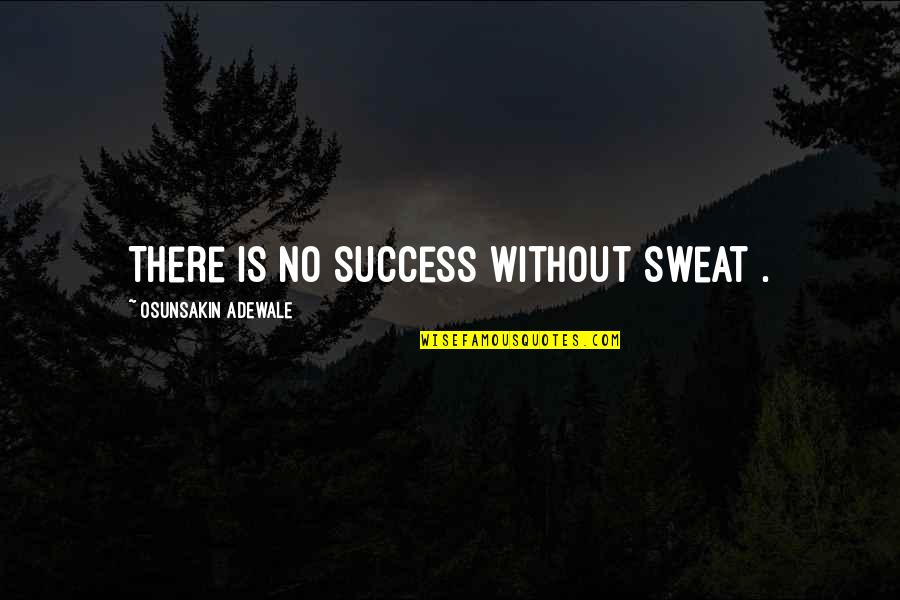 No Sweat Quotes By Osunsakin Adewale: There is no success without sweat .