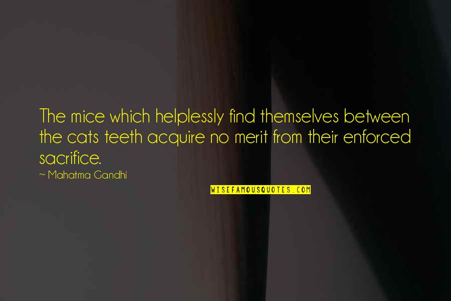 No Teeth Quotes By Mahatma Gandhi: The mice which helplessly find themselves between the No Teeth Quotes By Mahatma Gandhi: The mice which helplessly find themselves between the