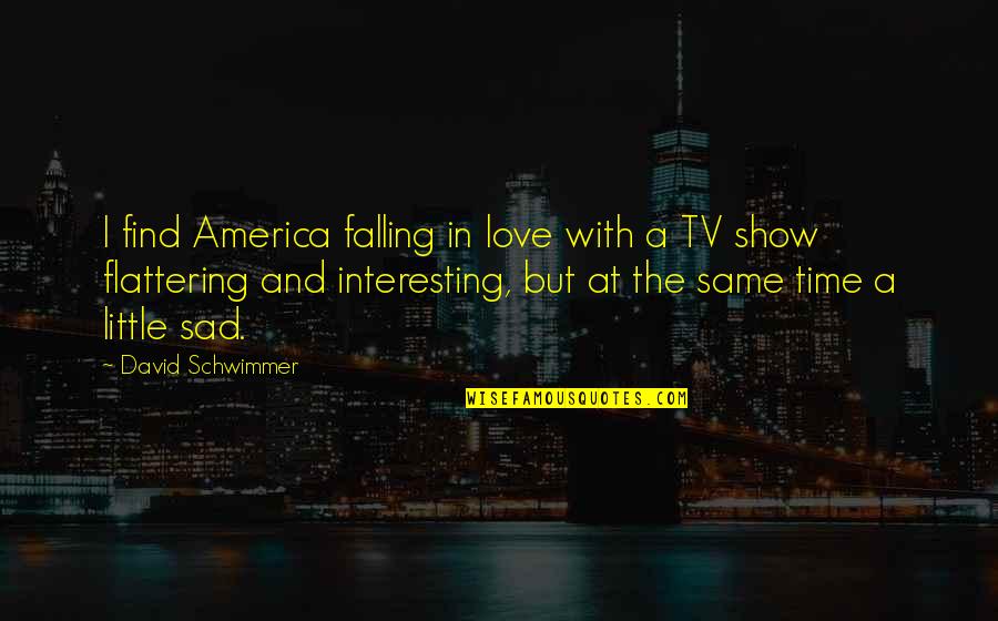 No Time For Love Sad Quotes By David Schwimmer: I find America falling in love with a