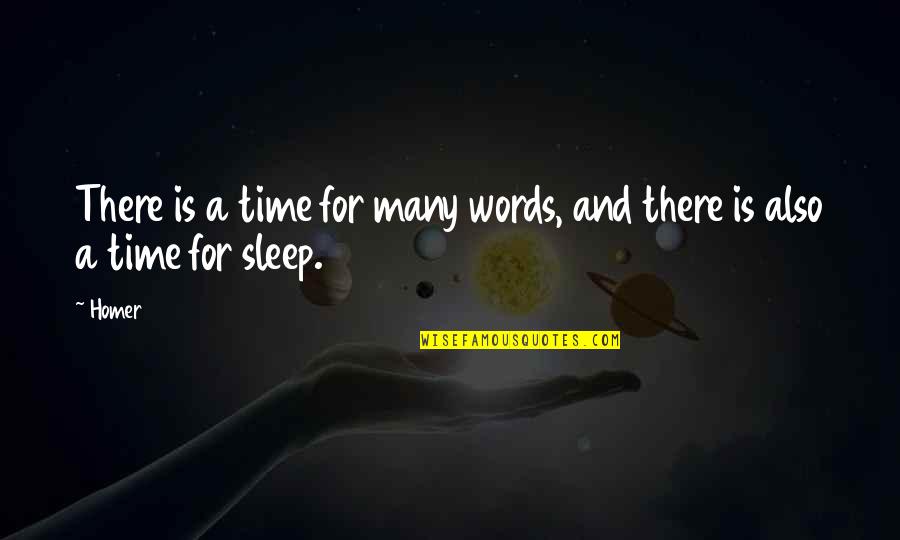 No Time To Sleep Quotes By Homer: There is a time for many words, and