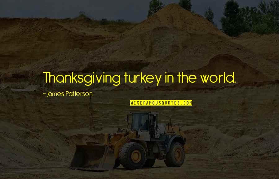 No Turkey Quotes By James Patterson: Thanksgiving turkey in the world.