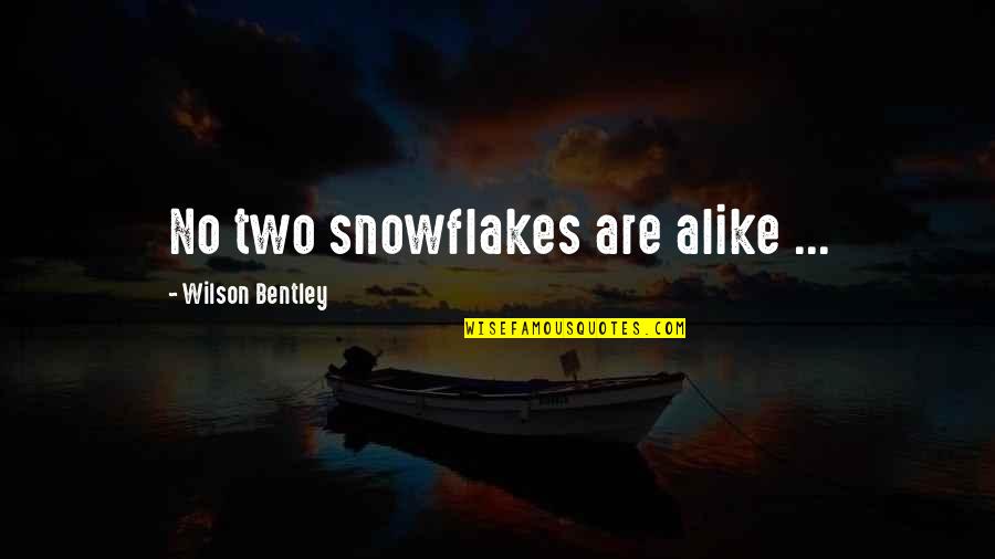 No Two Alike Quotes By Wilson Bentley: No two snowflakes are alike ...