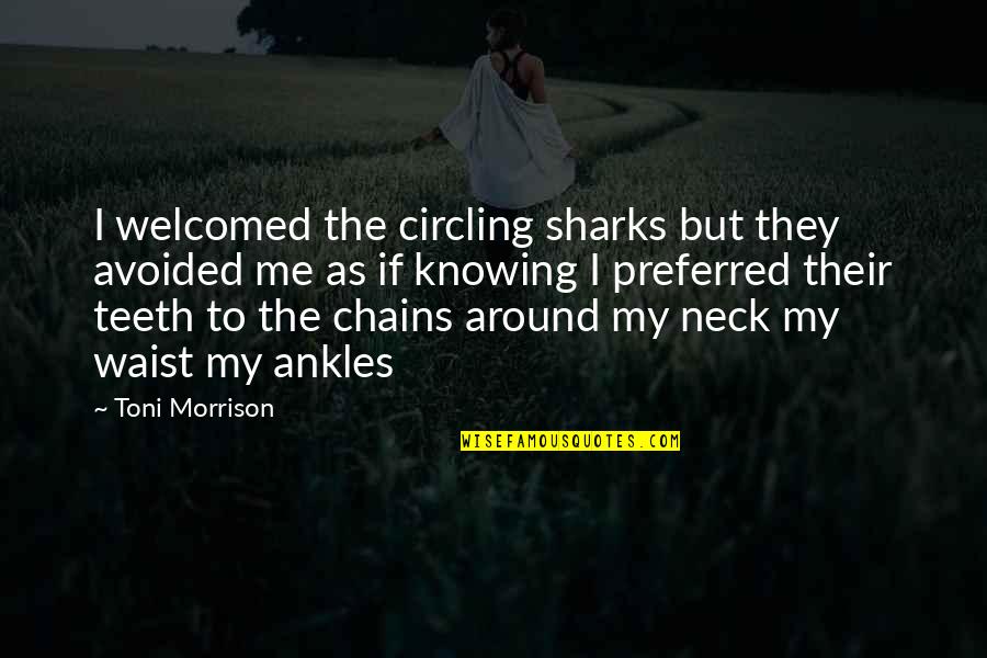 No Waist Quotes By Toni Morrison: I welcomed the circling sharks but they avoided No Waist Quotes By Toni Morrison: I welcomed the circling sharks but they avoided
