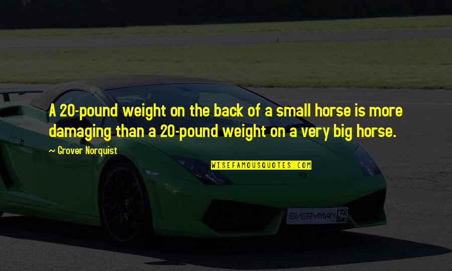 No Weight Back Quotes By Grover Norquist: A 20-pound weight on the back of a