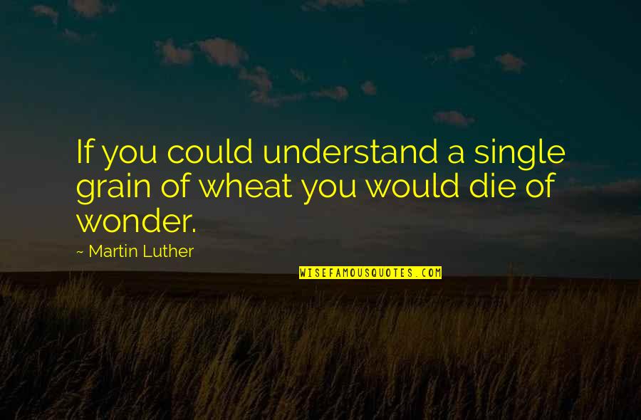 No Wonder I'm Single Quotes By Martin Luther: If you could understand a single grain of