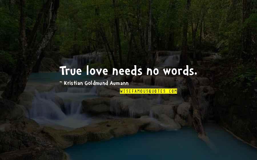 No Words Love Quotes By Kristian Goldmund Aumann: True love needs no words.
