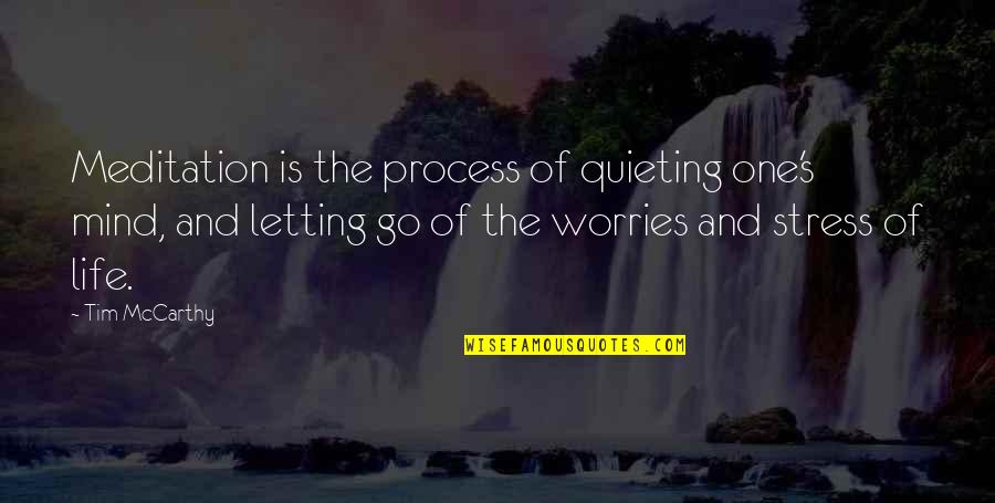 No Worries In Life Quotes By Tim McCarthy: Meditation is the process of quieting one's mind,