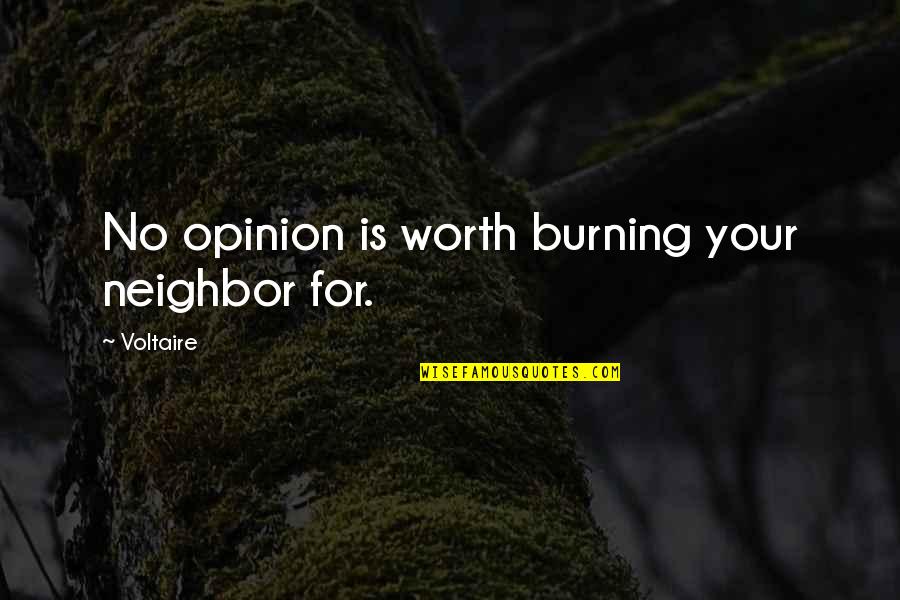 No Your Worth Quotes By Voltaire: No opinion is worth burning your neighbor for.