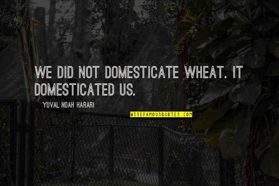 Noah Harari Quotes By Yuval Noah Harari: We did not domesticate wheat. It domesticated us.