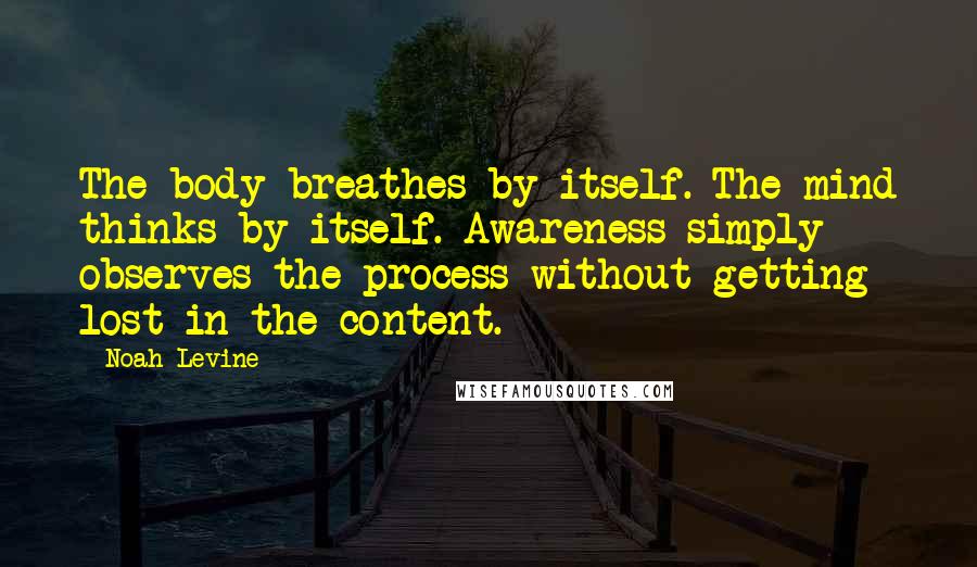 Noah Levine quotes: The body breathes by itself. The mind thinks by itself. Awareness simply observes the process without getting lost in the content.