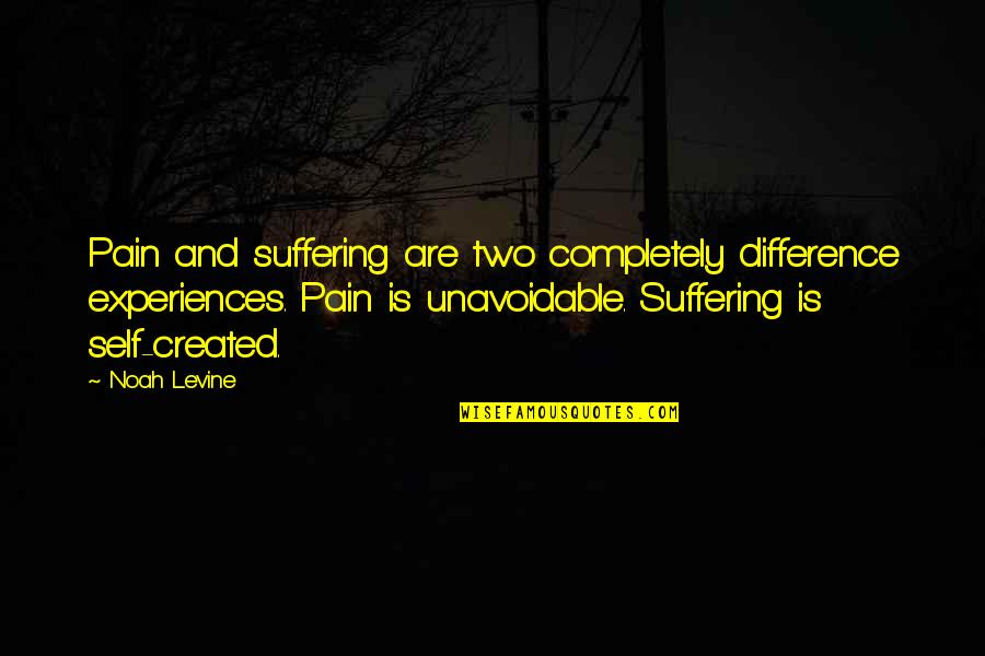 Noah Levine Quotes By Noah Levine: Pain and suffering are two completely difference experiences. Noah Levine Quotes By Noah Levine: Pain and suffering are two completely difference experiences.