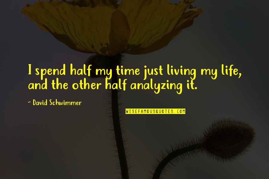 Noam Chomsky Palestine Quote Quotes By David Schwimmer: I spend half my time just living my