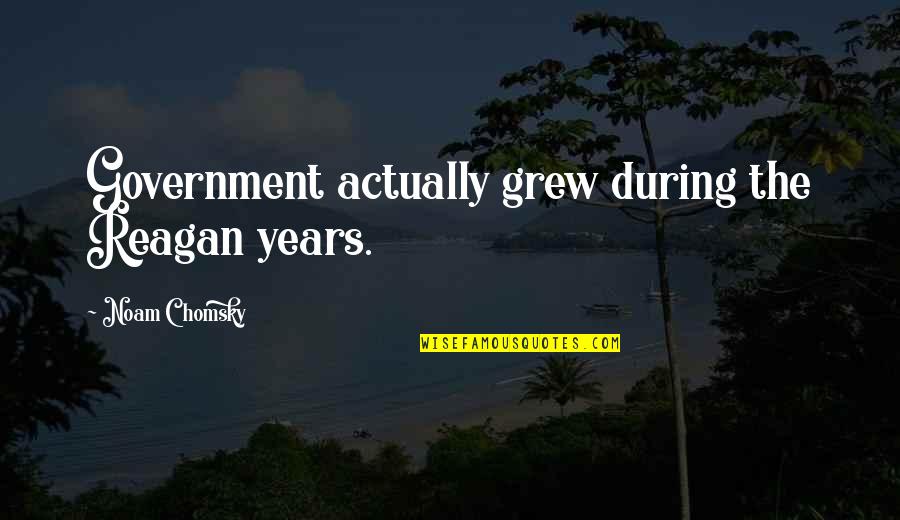 Noam Quotes By Noam Chomsky: Government actually grew during the Reagan years.