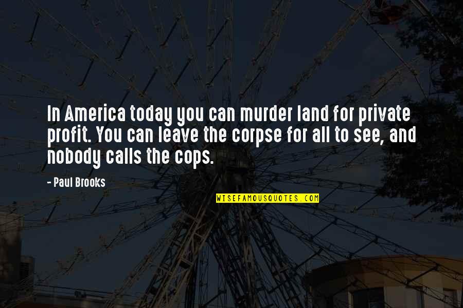 Nobody Can See It Quotes By Paul Brooks: In America today you can murder land for Nobody Can See It Quotes By Paul Brooks: In America today you can murder land for