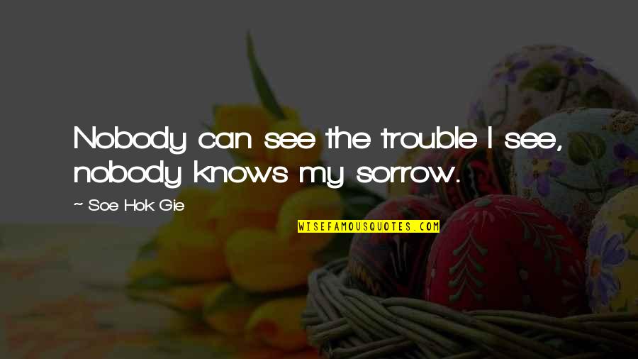 Nobody Can See It Quotes By Soe Hok Gie: Nobody can see the trouble I see, nobody