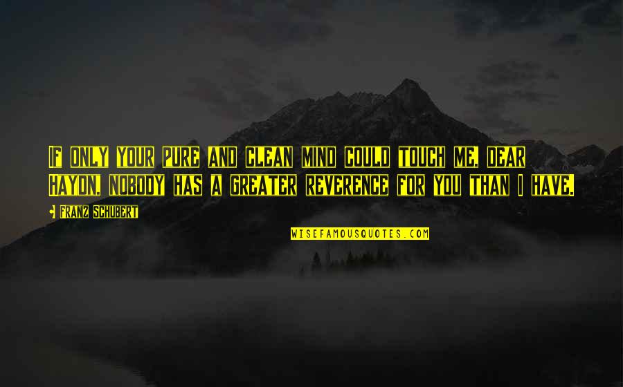 Nobody Greater Quotes By Franz Schubert: If only your pure and clean mind could Nobody Greater Quotes By Franz Schubert: If only your pure and clean mind could