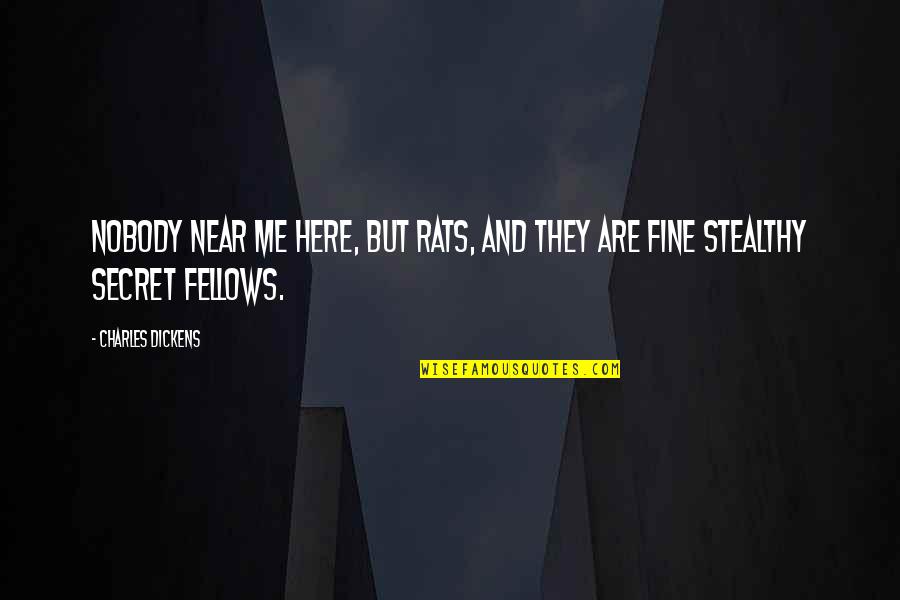 Nobody Here For Me Quotes By Charles Dickens: Nobody near me here, but rats, and they