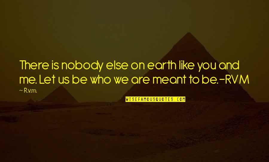 Nobody Is Like Me Quotes By R.v.m.: There is nobody else on earth like you