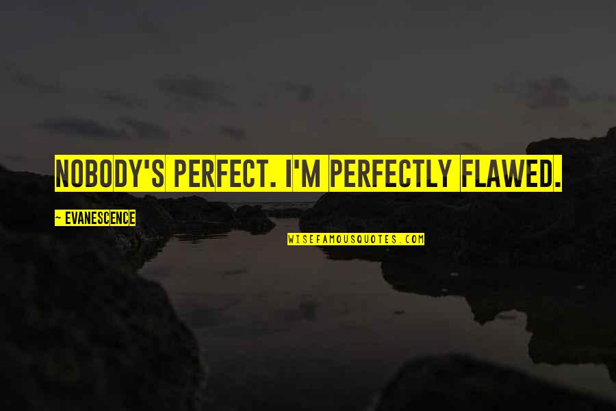 Nobody Is Not Perfect Quotes By Evanescence: Nobody's perfect. I'm perfectly flawed.