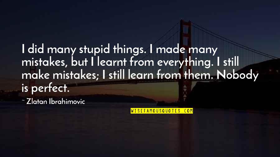 Nobody Is Not Perfect Quotes By Zlatan Ibrahimovic: I did many stupid things. I made many