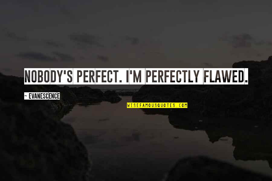 Nobody Is Perfect But Quotes By Evanescence: Nobody's perfect. I'm perfectly flawed.