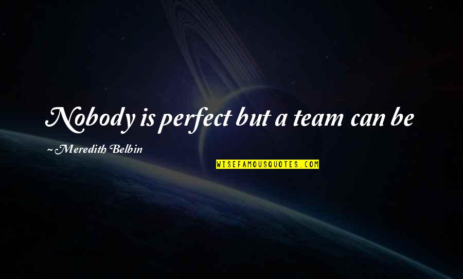 Nobody Is Perfect But Quotes By Meredith Belbin: Nobody is perfect but a team can be