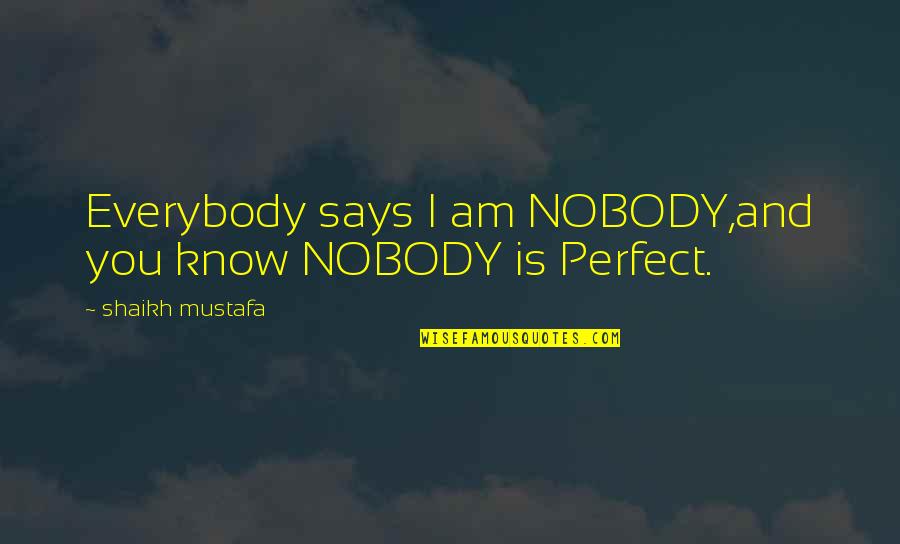 Nobody Is Perfect But Quotes By Shaikh Mustafa: Everybody says I am NOBODY,and you know NOBODY