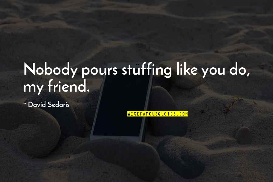 Nobody Is Your Friend Quotes By David Sedaris: Nobody pours stuffing like you do, my friend. Nobody Is Your Friend Quotes By David Sedaris: Nobody pours stuffing like you do, my friend.