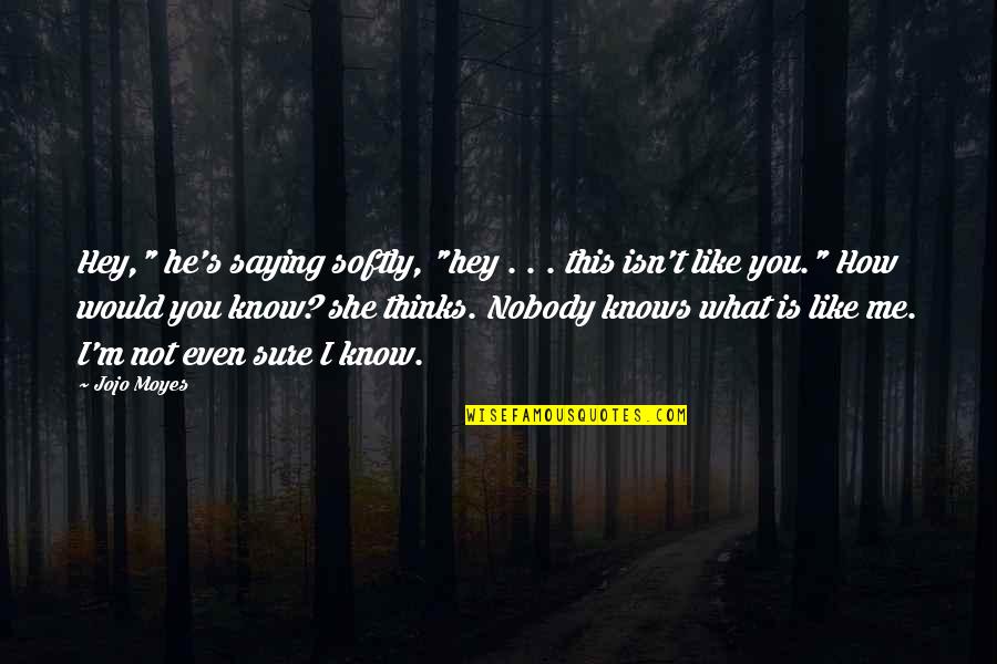 Nobody Know Quotes By Jojo Moyes: Hey," he's saying softly, "hey . . .