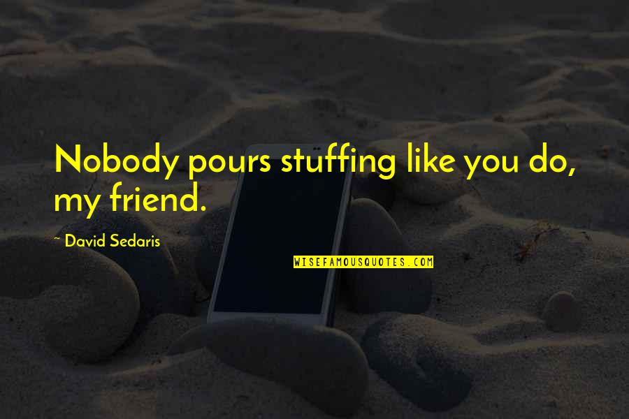 Nobody Like You Quotes By David Sedaris: Nobody pours stuffing like you do, my friend.