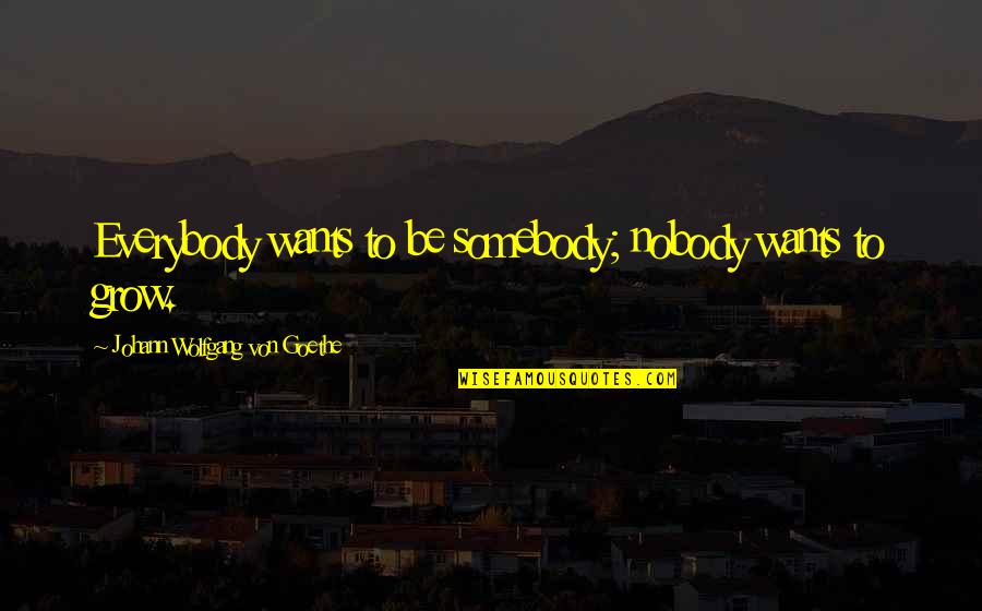 Nobody To Somebody Quotes By Johann Wolfgang Von Goethe: Everybody wants to be somebody; nobody wants to