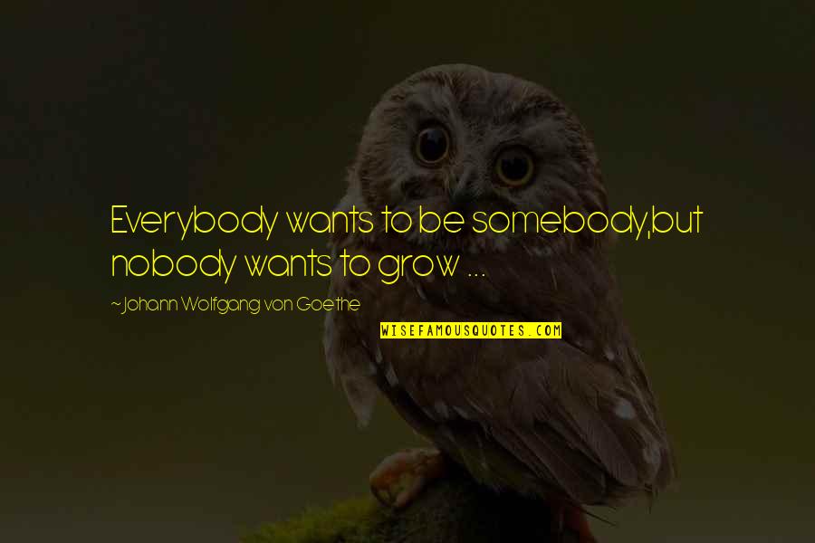 Nobody To Somebody Quotes By Johann Wolfgang Von Goethe: Everybody wants to be somebody,but nobody wants to