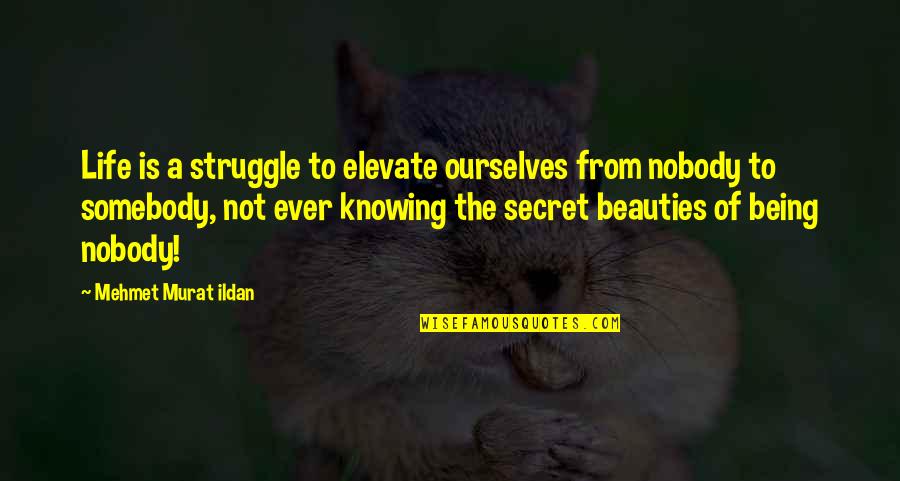 Nobody To Somebody Quotes By Mehmet Murat Ildan: Life is a struggle to elevate ourselves from