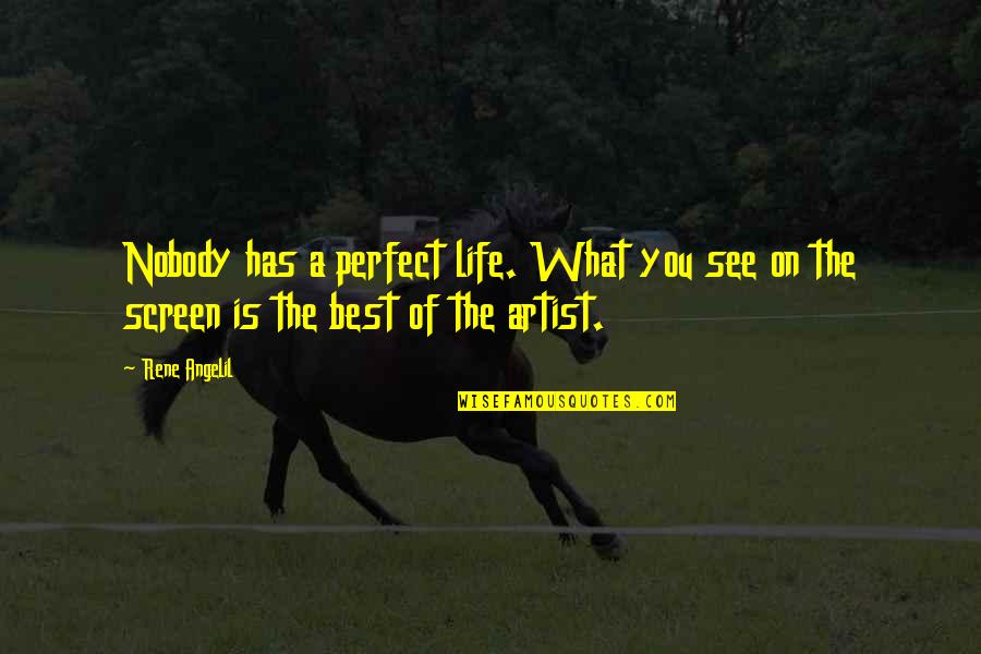 Nobody's Life Is Perfect Quotes By Rene Angelil: Nobody has a perfect life. What you see