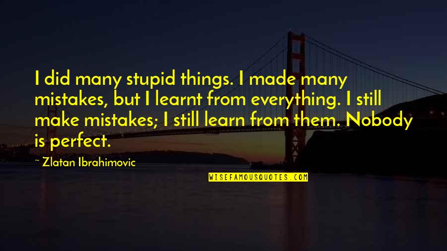 Nobody's Perfect We All Make Mistakes Quotes By Zlatan Ibrahimovic: I did many stupid things. I made many