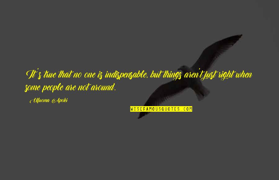 Nodder Salt Quotes By Ufuoma Apoki: It's true that no one is indispensable, but